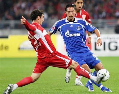 他们携带自 他们携带自